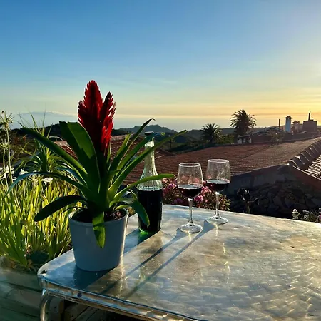 Jardin Hayas