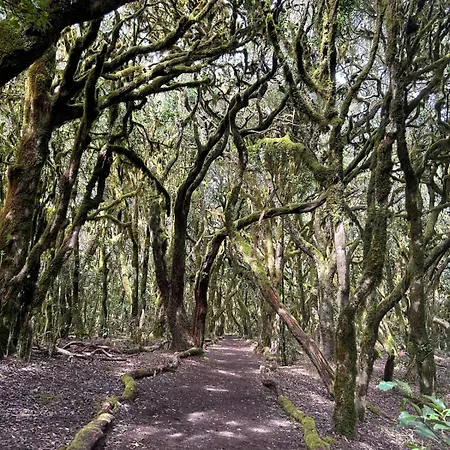 Εξοχικό σπίτι Jardin Hayas Valle Gran Rey
