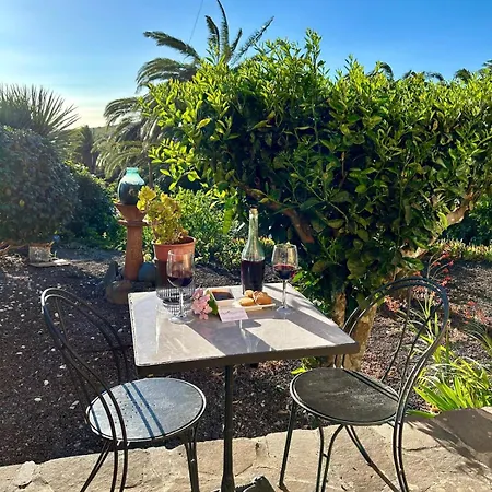 Jardin Hayas Valle Gran Rey